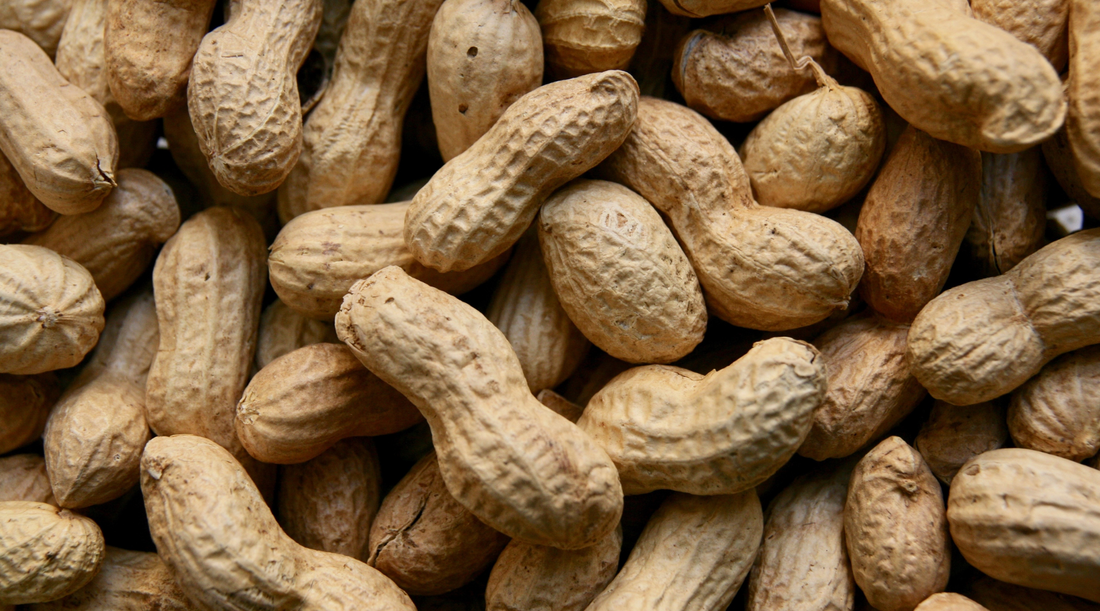 The Benefits of Peanuts for Dogs: A Nutritious Addition to Their Diet