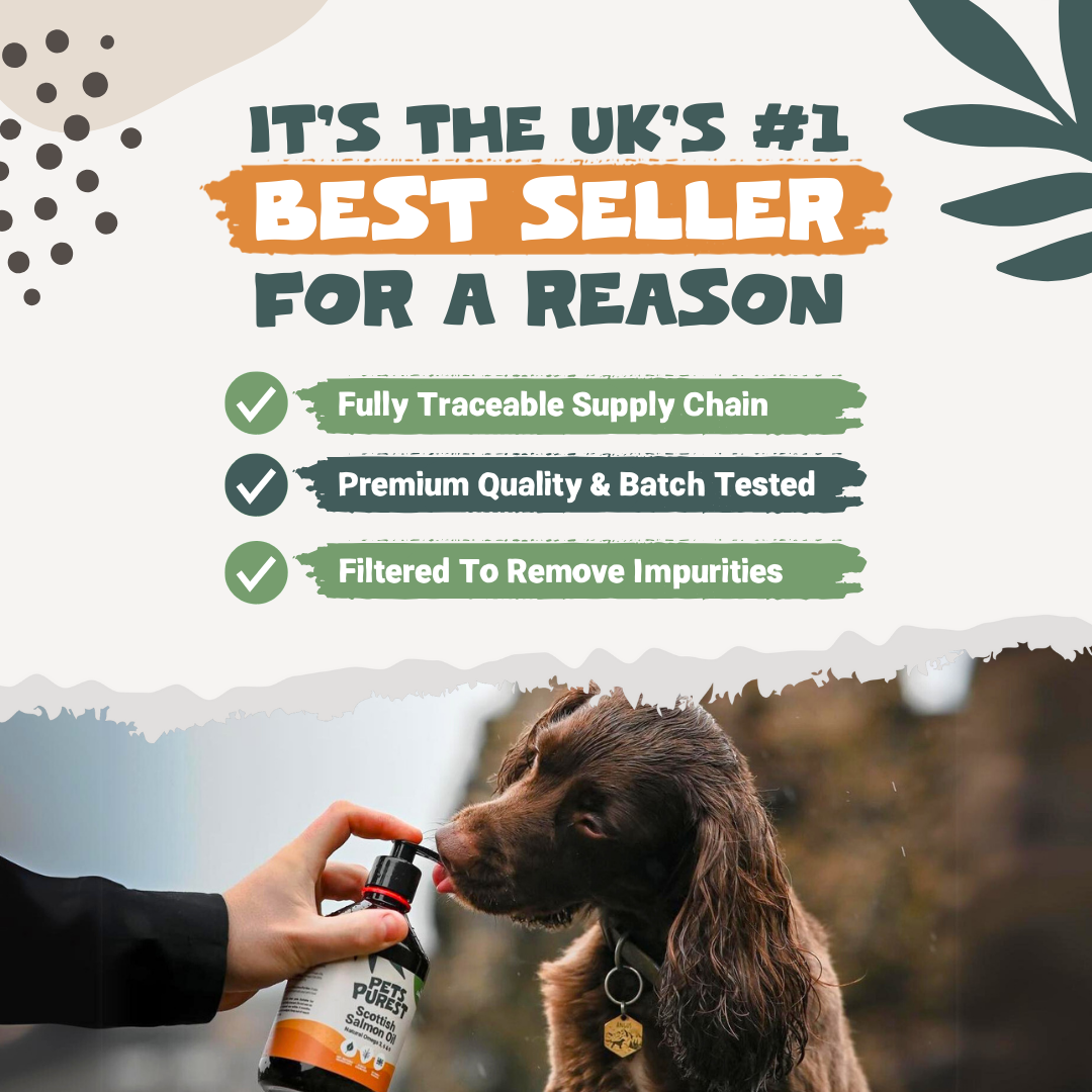 Natural Scottish Salmon Oil