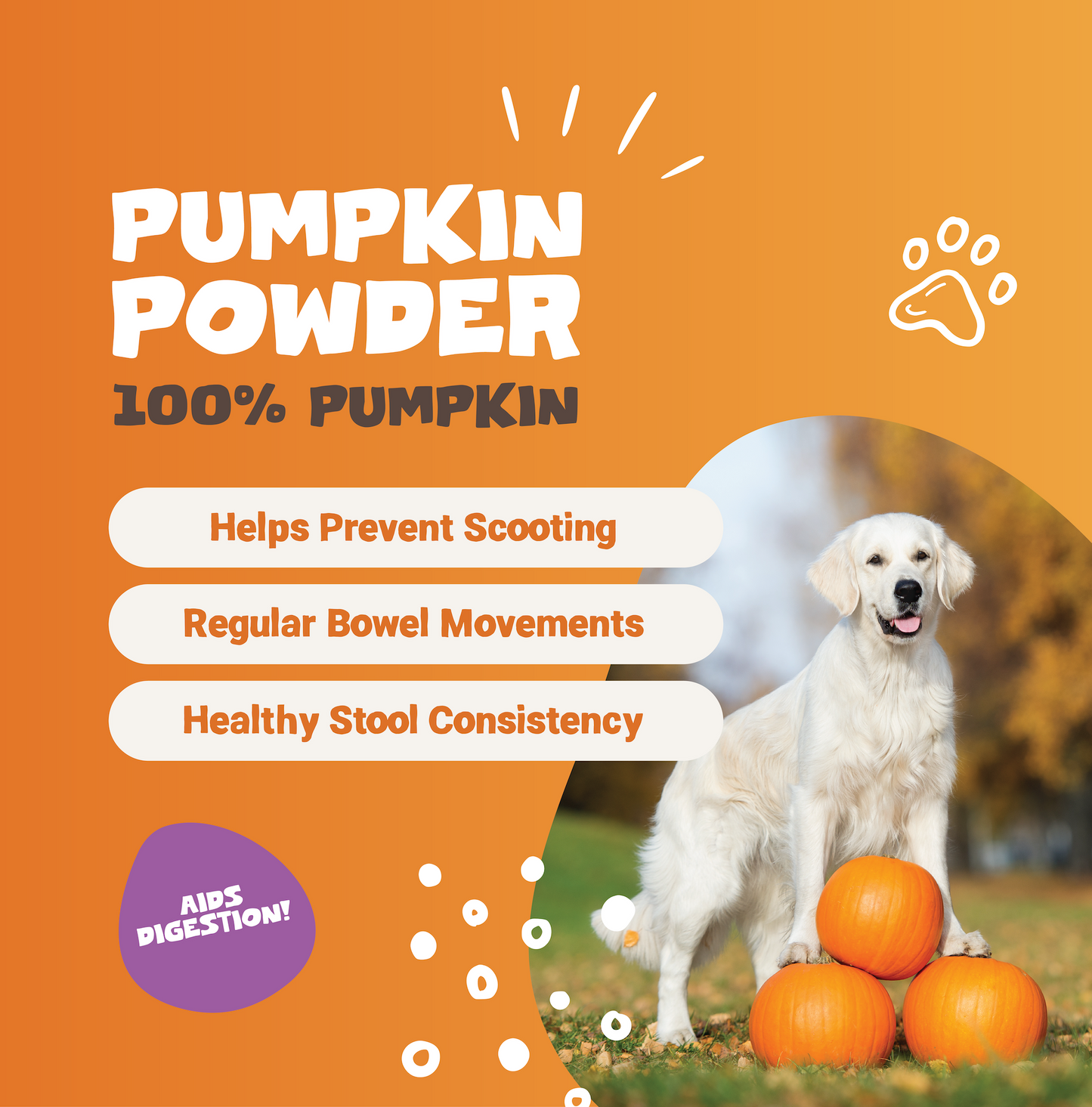 Pumpkin Powder | 250g