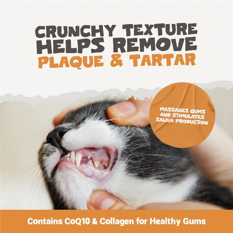 Freeze Dried Chicken Treats for Cats | 50g