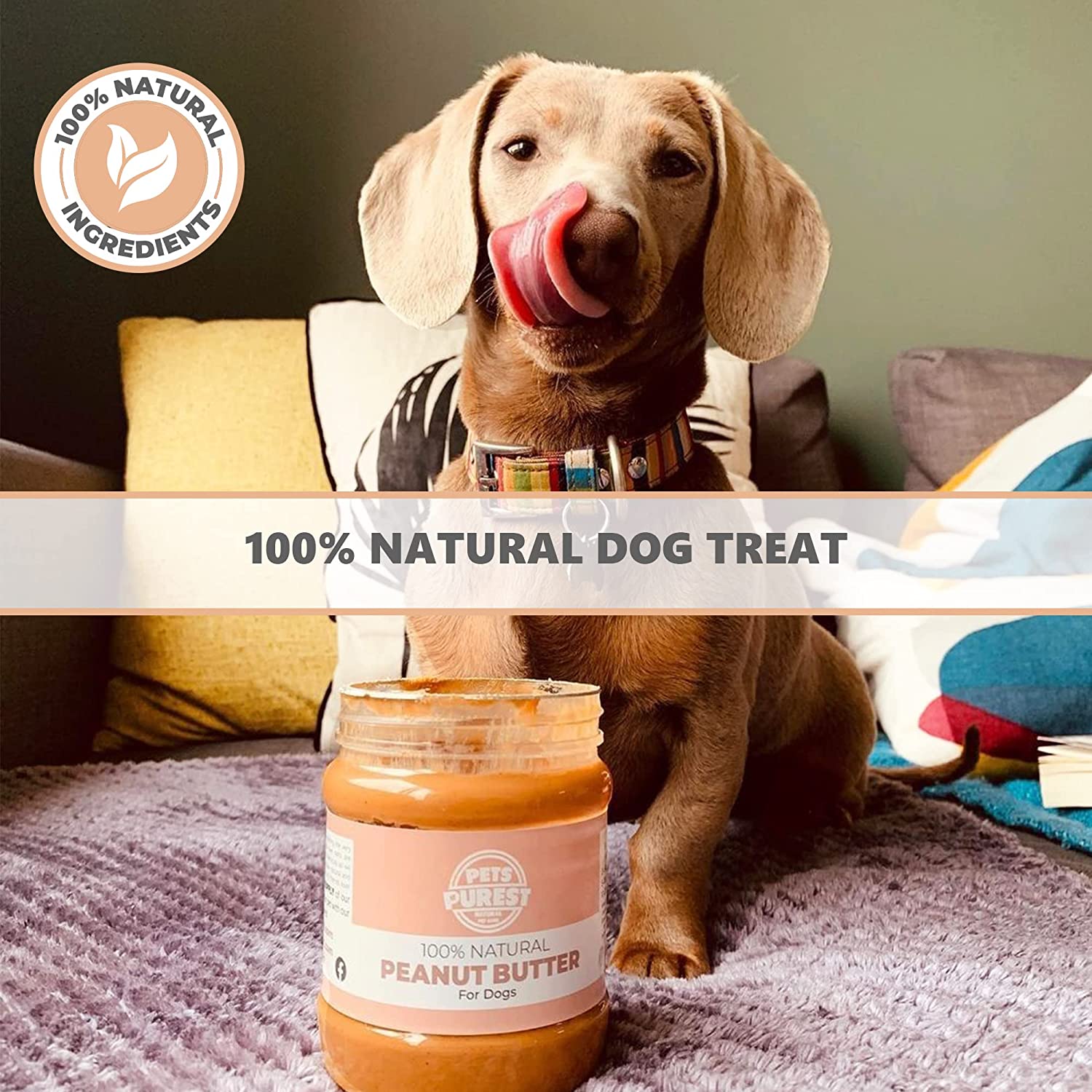 Dog friendly best sale peanut butter